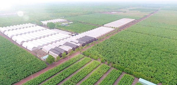 Bình Dương xây dựng nền nông nghiệp phát triển bền vững